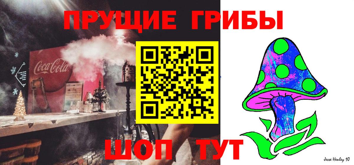 продажа наркотиков  Псилоцибиновые грибы мицелий  Вход с VPN  Ступино  Псилоцибиновые грибы Cubensis 